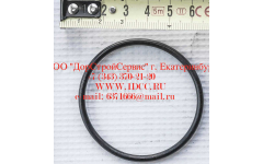 Кольцо уплотнительное ø346х3.5 гидромуфты ГТР CDM 855, 843 фото Саранск