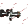 Коленвал двигателя TD226B6G CDM 833 Lonking CDM (СДМ) 12272497 фото 2 Саранск
