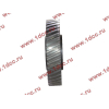 Шестерня привода распредвала промежуточная WD615/WP10 HOWO (ХОВО) VG1560050053/61560050053 фото 3 Саранск