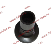 Стакан штанги-толкателя двигатель TD226B6G LONGGONG Lonking CDM (СДМ) 12273399 фото 4 Саранск